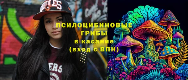 первитин Володарск