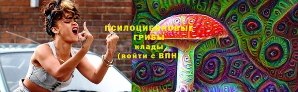 Альфа ПВП Вяземский