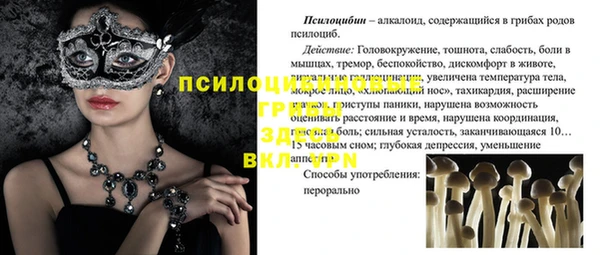 первитин Володарск