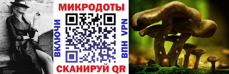 Псилоцибиновые грибы GOLDEN TEACHER  Любань 